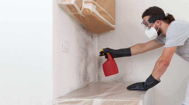 Professional Crawl Space Mold Remediation technician working in Churchville, NY